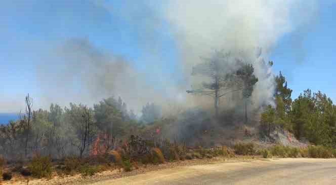 Hatay’da orman yangını, hava ve karadan müdahale ile kontrol altına aldı