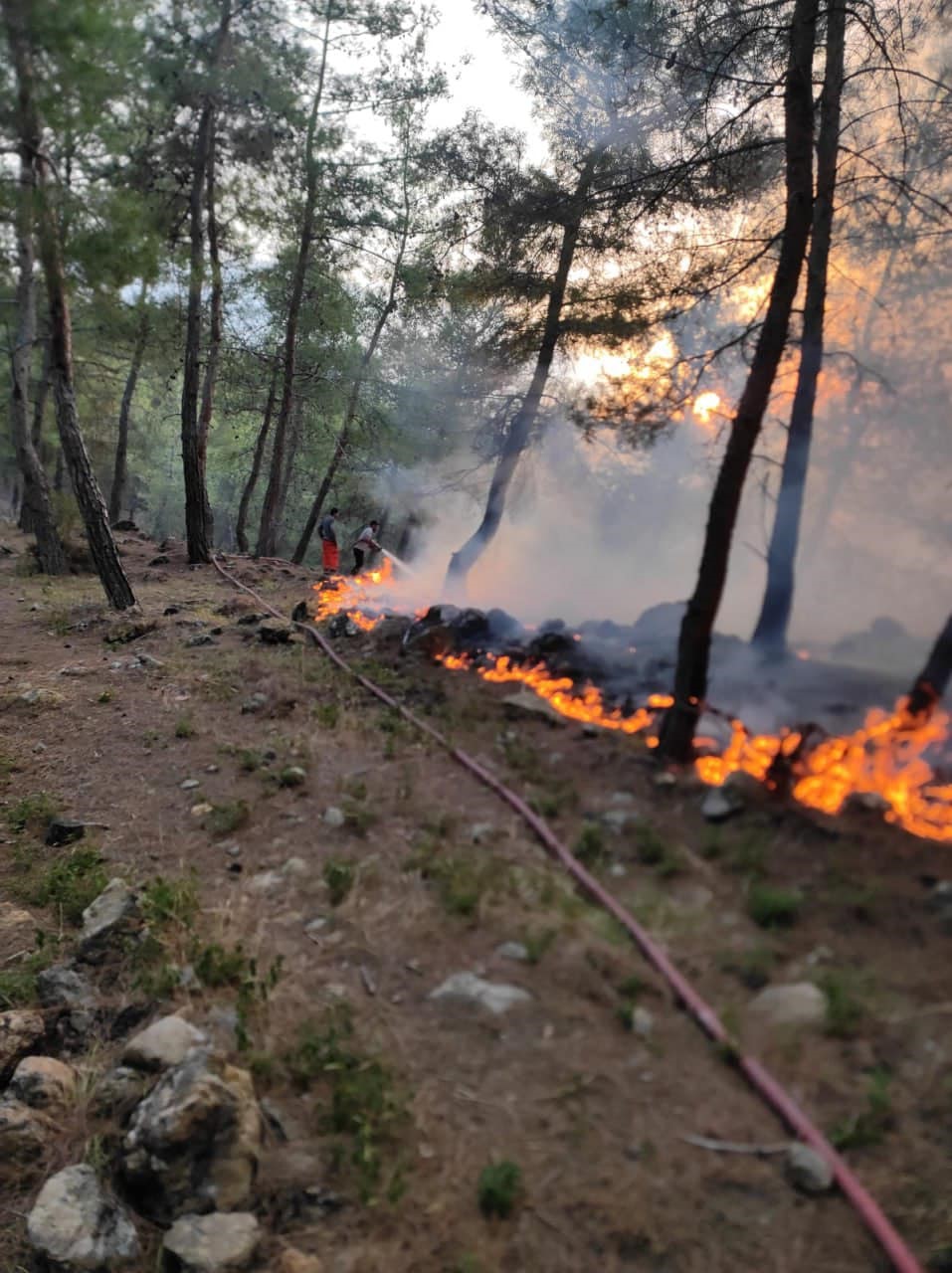 Yayladağı’nda örtü yangını