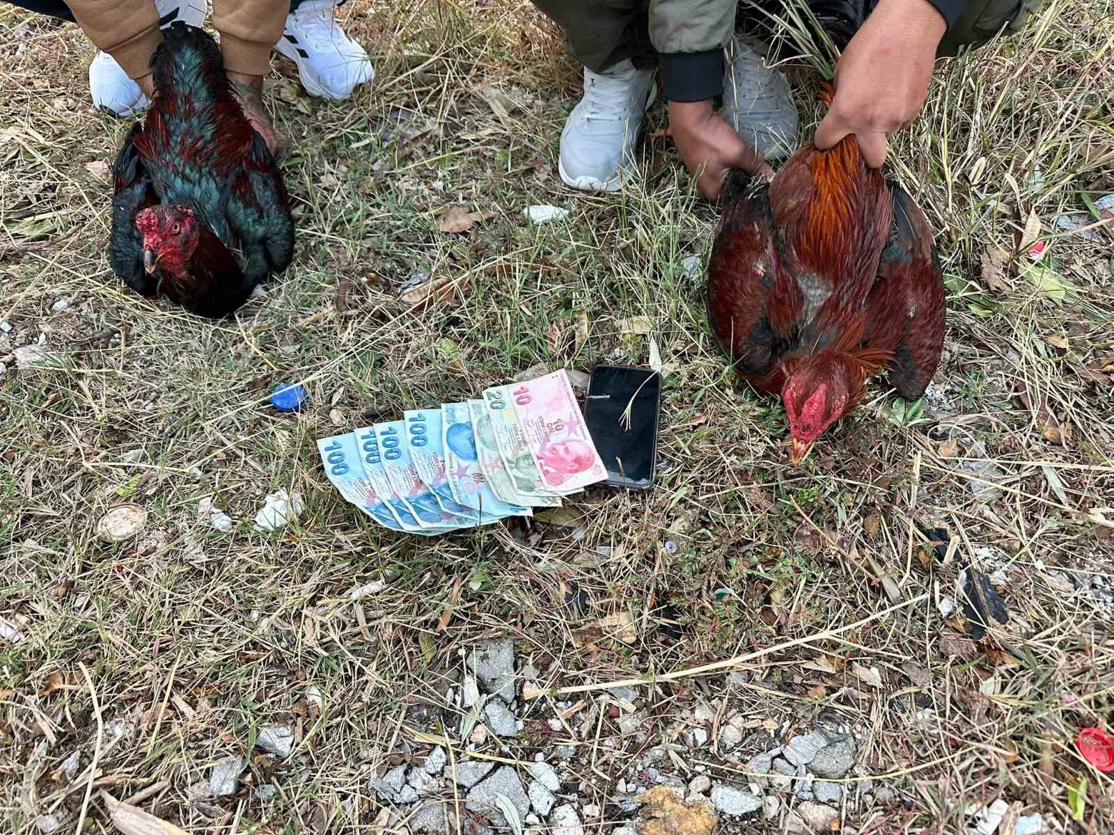 Hatay’da horoz dövüşü baskını: 14 kişiye 41 bin 350 lira ceza